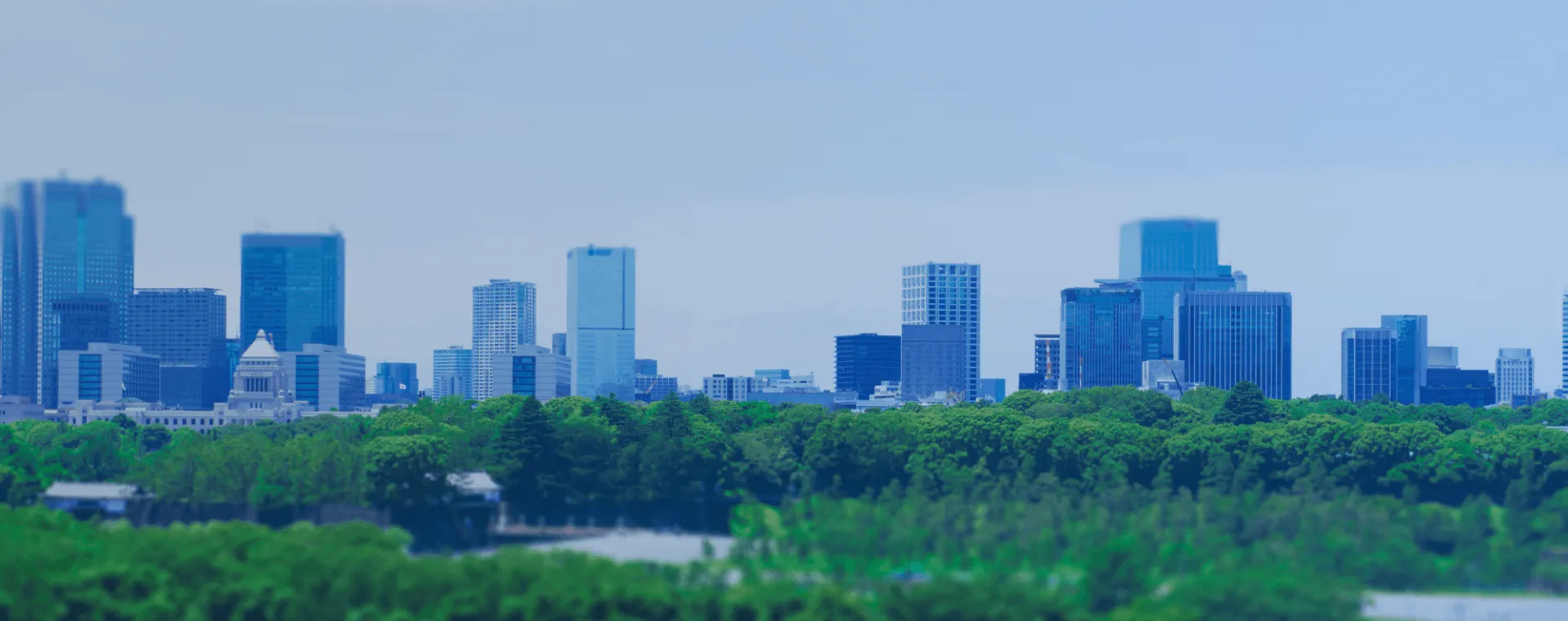 60歳代・男性：腰部脊柱管狭窄症に対する椎弓切除術および腰椎椎体間固定術